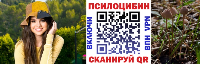 Галлюциногенные грибы GOLDEN TEACHER  где купить наркоту  Урус-Мартан 