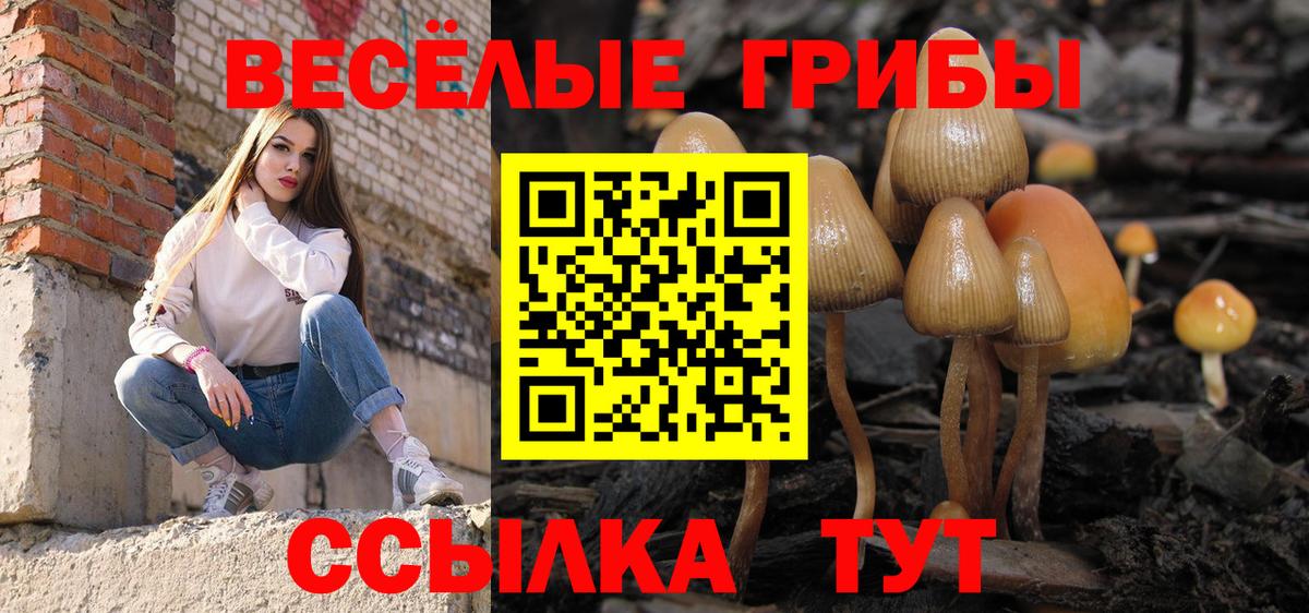 Псилоцибиновые грибы мицелий  Вход с VPN  Урус-Мартан 