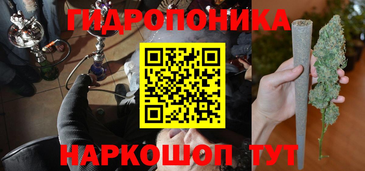 Конопля гибрид Урус-Мартан